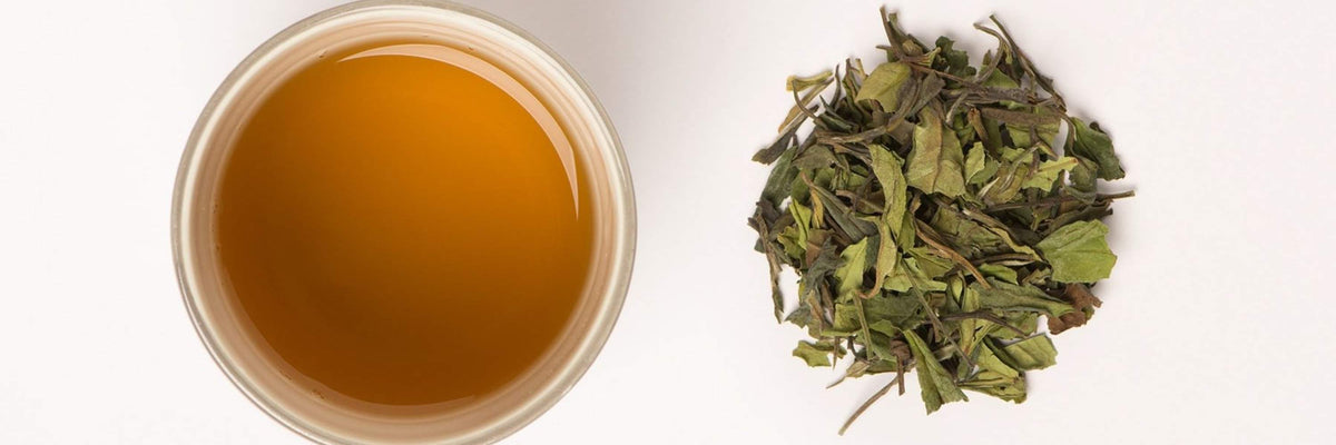 Apprivoiser ses règles avec la naturopathie