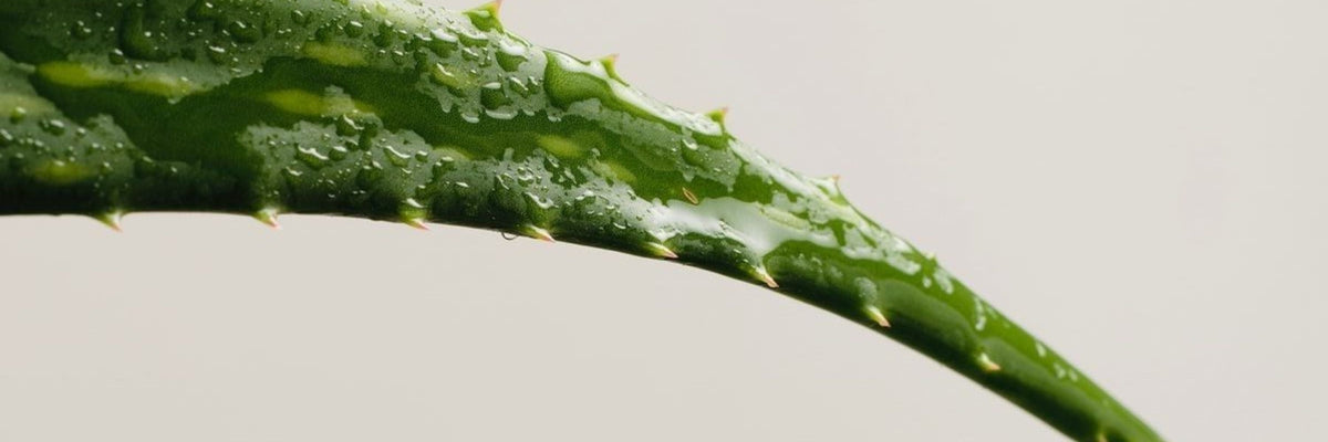 4 étapes pour atténuer la sécheresse intime avant les règles