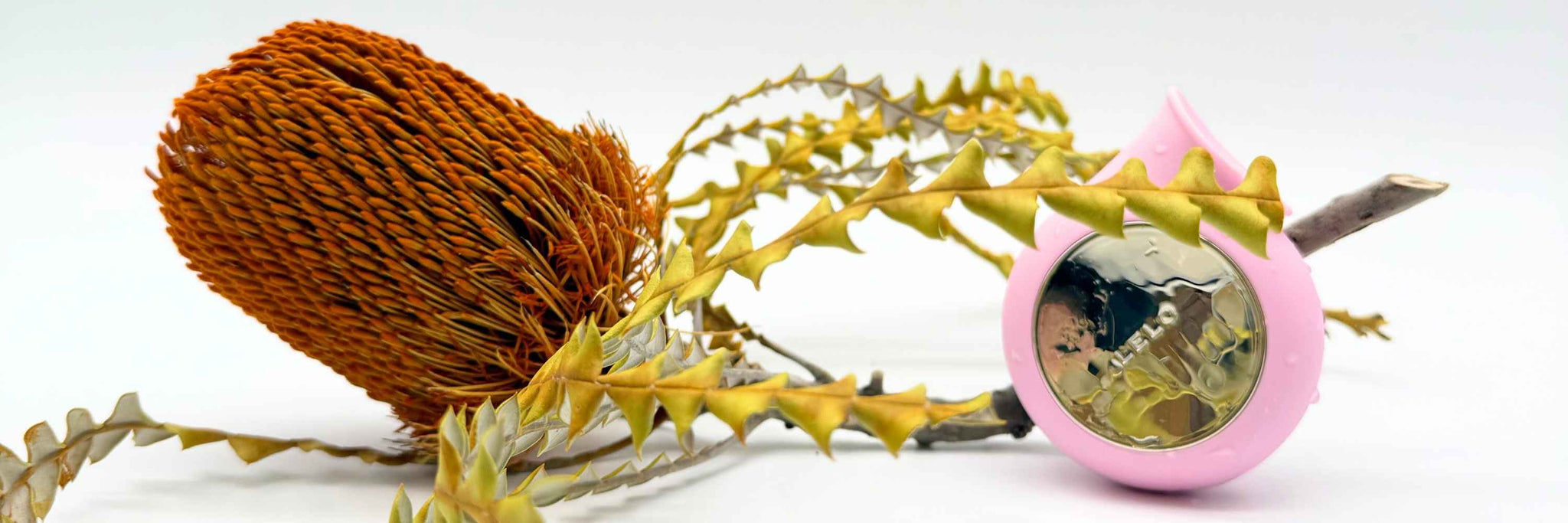 comment utiliser un vibromasseur Pineapple Man Vibrating Prostate Massager main image 1