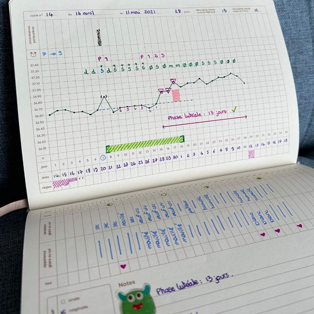 Agenda menstruel pour symptothermie Magic Ovaries - Gapianne