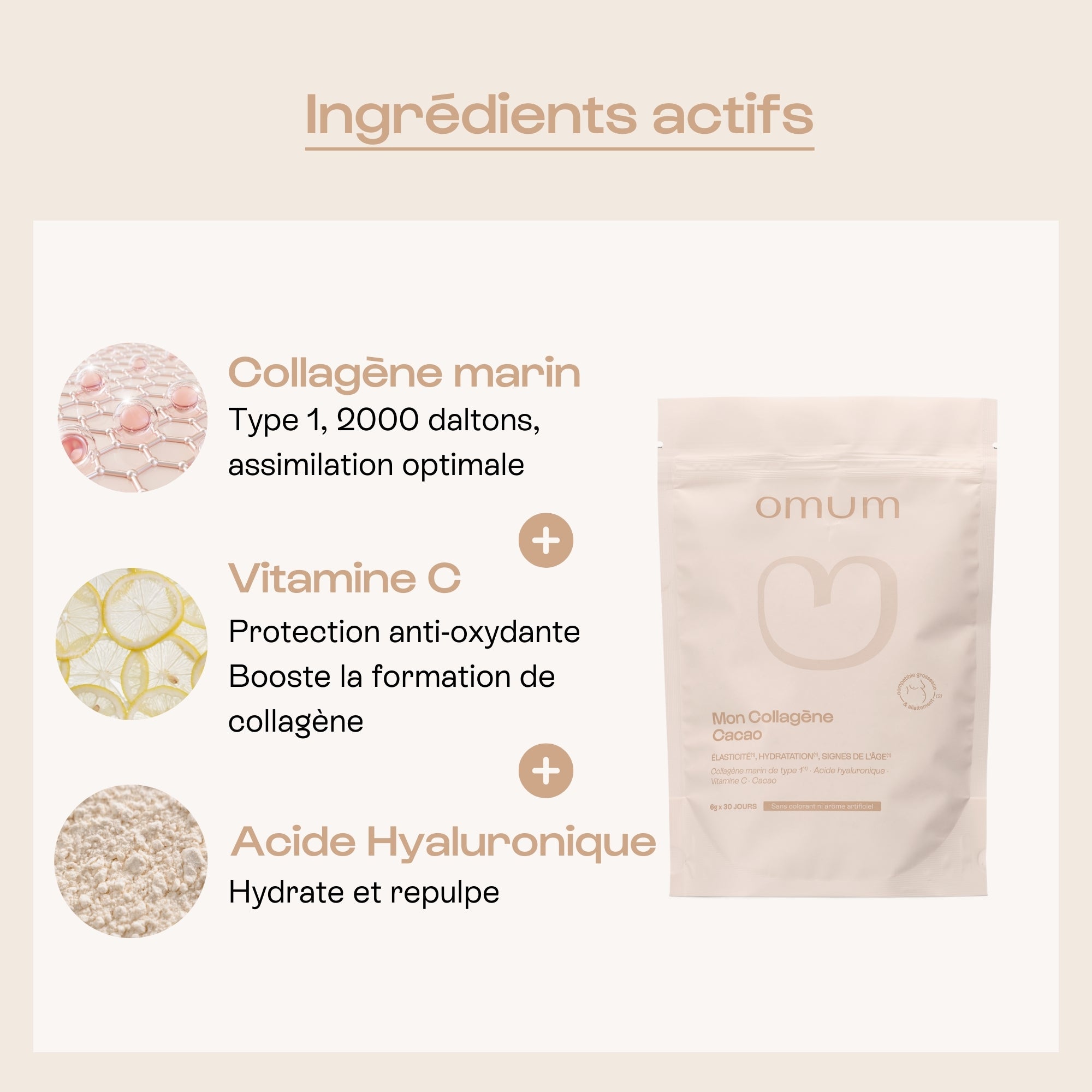Collagène Marin goût chocolat - Omum