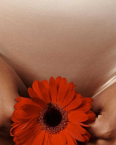 Comment choisir une culotte post-partum