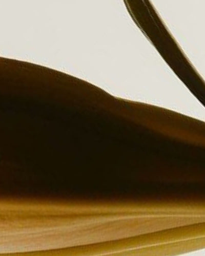 Tout savoir sur la Gardnerella vaginalis