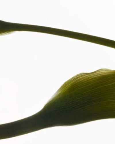 Pré-ménopause et Ménopause : quelle est la différence ?