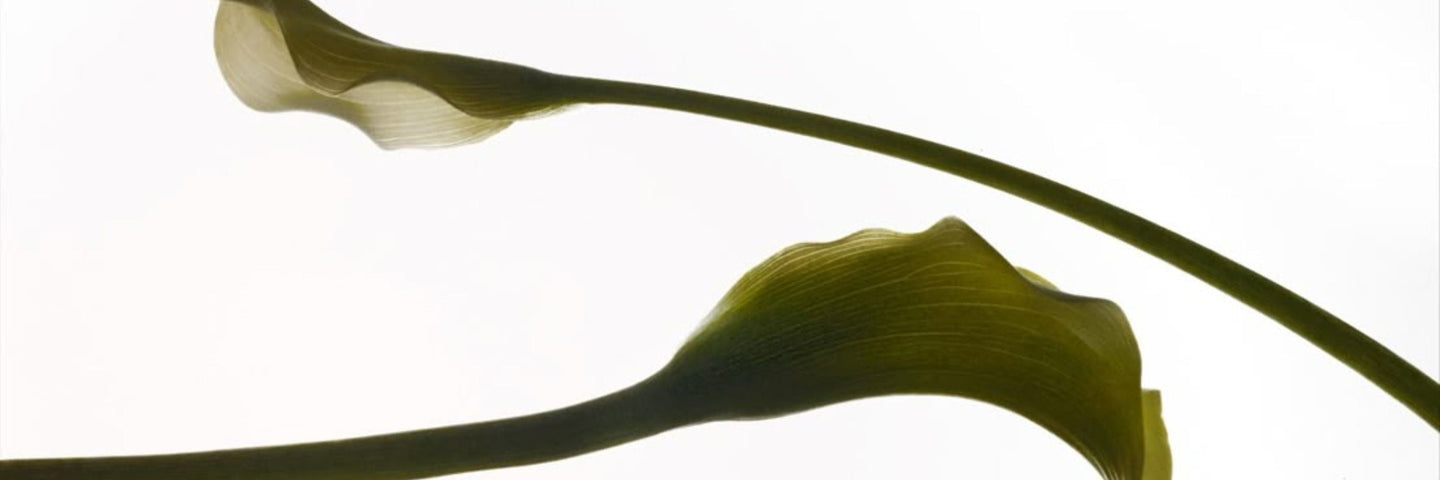 Pré-ménopause et Ménopause : quelle est la différence ?