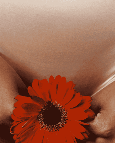 vaginose bactérienne symptomes et traitements