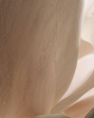 Remèdes naturels pour cystite : ce qui marche vraiment selon la science