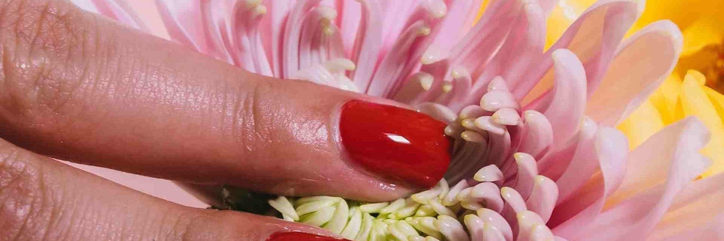 Tout savoir sur le clitoris-Gapianne