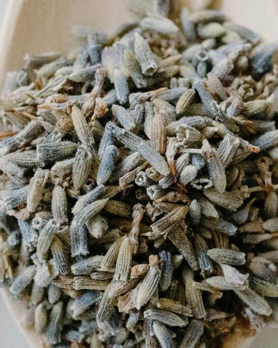 Les aliments galactogènes pour stimuler la lactation