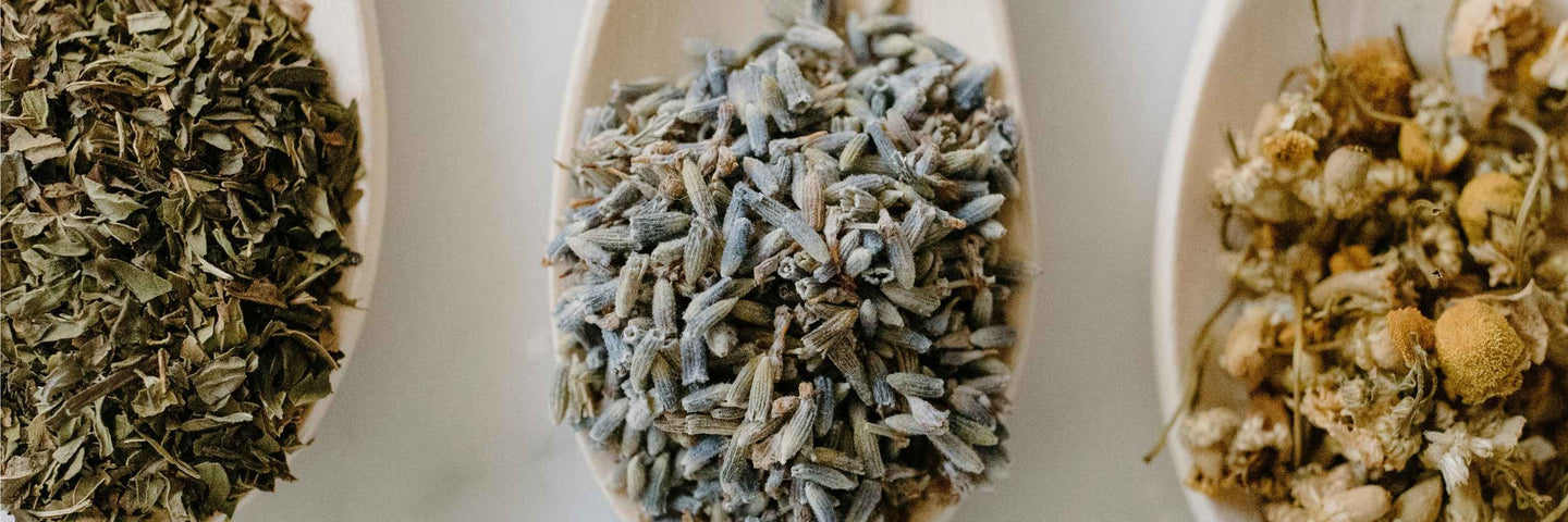 Les aliments galactogènes pour stimuler la lactation