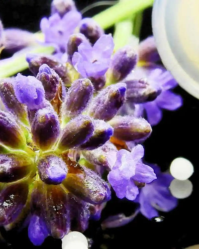 Article sur la naturopathie comme aide lors de la ménopause - Gapianne