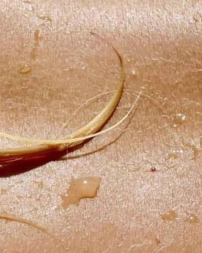 Quand le désir se fait tout petit
