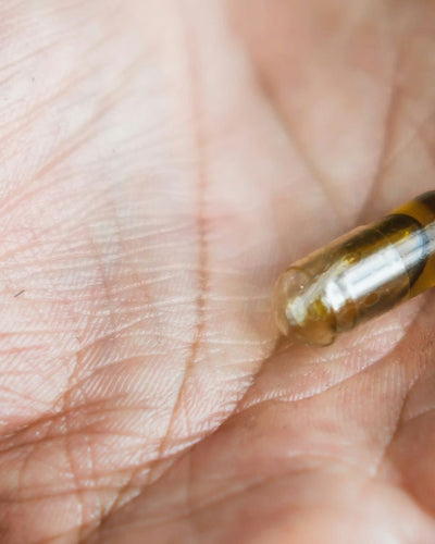 Comparatif 2026 des probiotiques et compléments les plus efficaces pour le confort urinaire