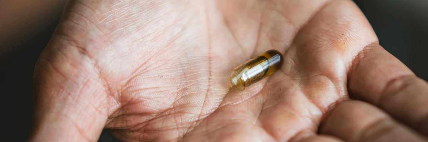 Comparatif 2026 des probiotiques et compléments les plus efficaces pour le confort urinaire