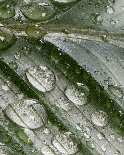 Tout savoir sur la contraception naturelle