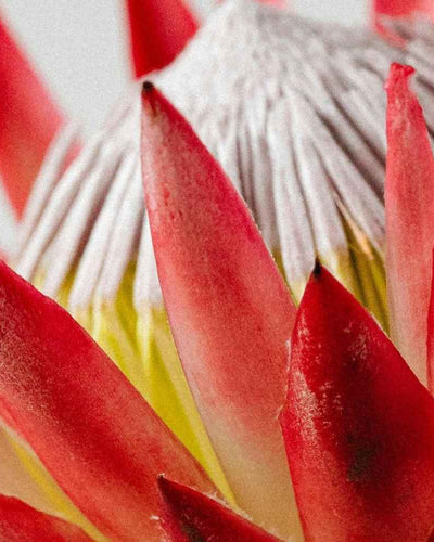 Vos cycles menstruels n’auront plus de secret pour vous