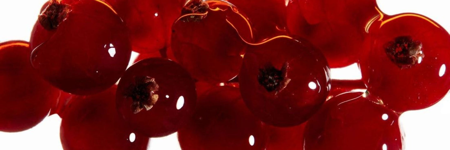 Le b.a.-ba du cycle : L'ovulation