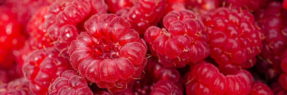 Dysménorrhée : Comprendre et soulager les règles douloureuses