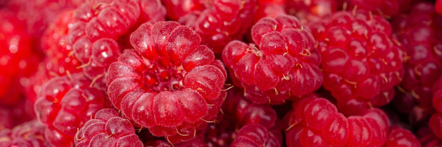 Dysménorrhée : Comprendre et soulager les règles douloureuses