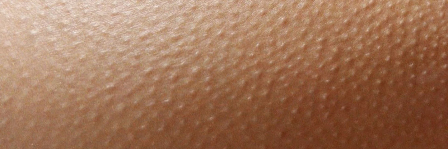 Les multiples facettes de l'orgasme