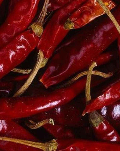 Un guide complet sur l’endométrite