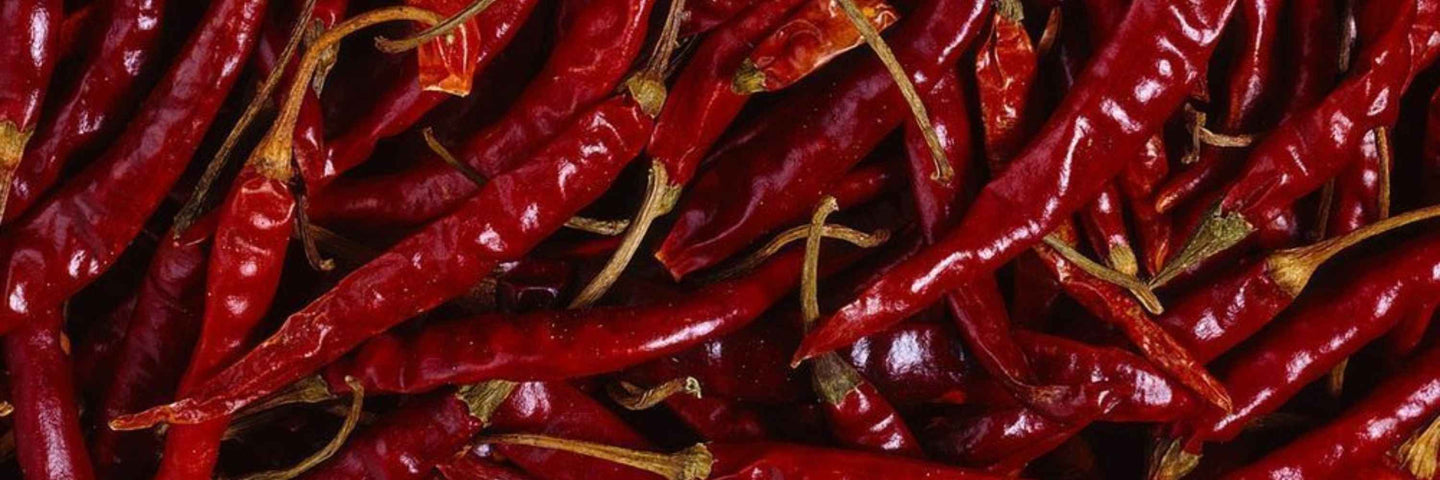 Un guide complet sur l’endométrite