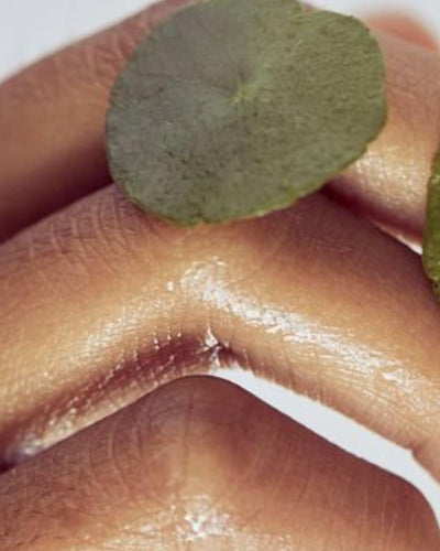 Les hormones dites "féminines"