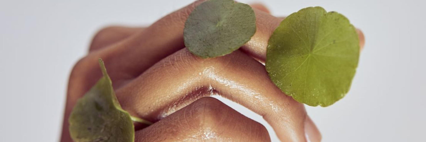 Les hormones dites "féminines"