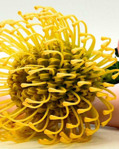 Les meilleurs vibromasseurs pour débuter : quel sextoy choisir?