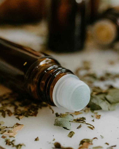 Phytothérapie : les plantes qui soulagent les symptômes de la ménopause