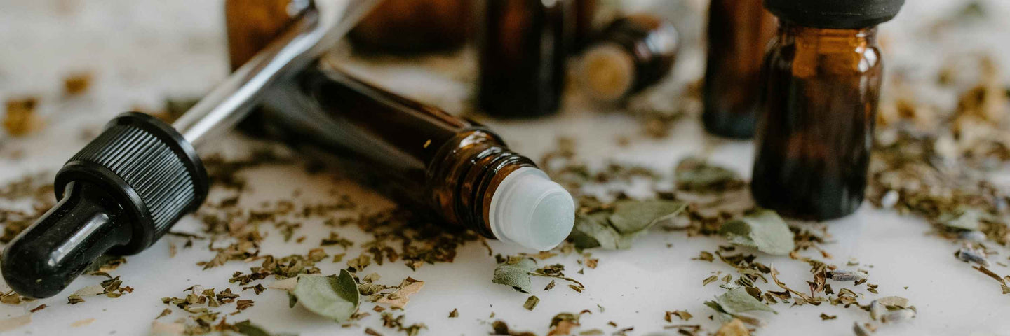 Phytothérapie : les plantes qui soulagent les symptômes de la ménopause