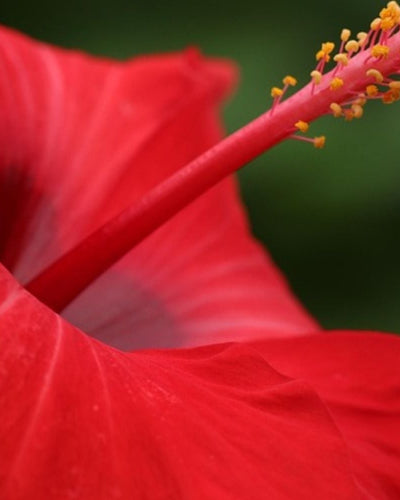 Quelle protection hygiénique choisir ?