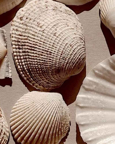 Protections menstruelles, lesquelles choisir ? Les tampons et les cups