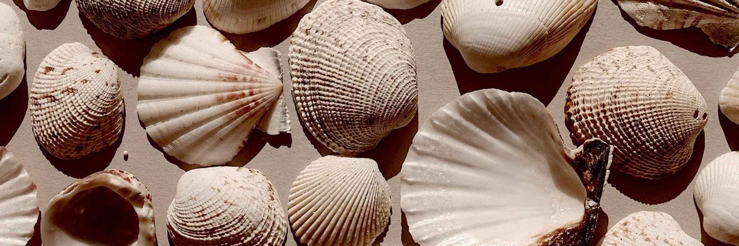 Protections menstruelles, lesquelles choisir ? Les tampons et les cups