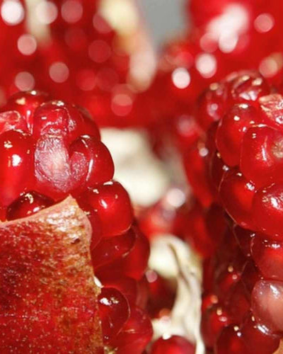 Combien de temps durent les règles ?