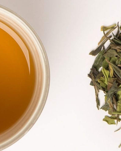 Apprivoiser ses règles avec la naturopathie
