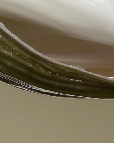 Retour de couche : tout savoir sur le retour des règles