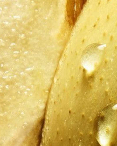 Vous avez dit nouvelle révolution sexuelle?