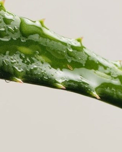 4 étapes pour atténuer la sécheresse intime avant les règles