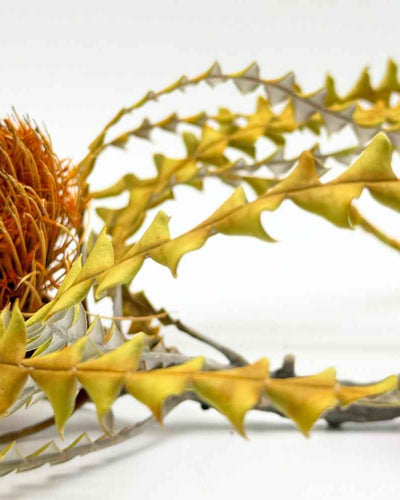 Comment utiliser un stimulateur clitoridien ?