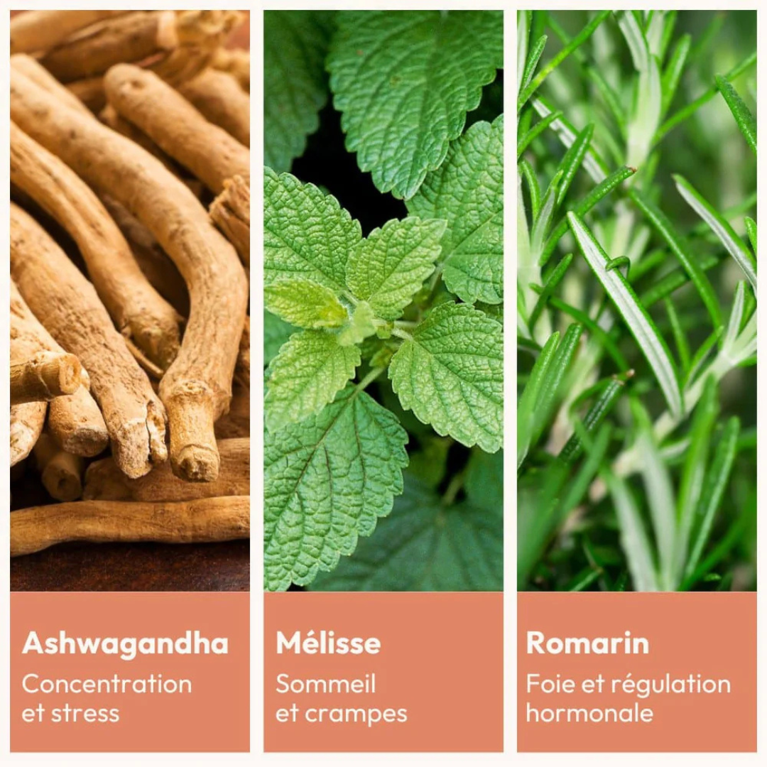 Compléments alimentaires pour l'équilibre hormonal féminin - MiYé