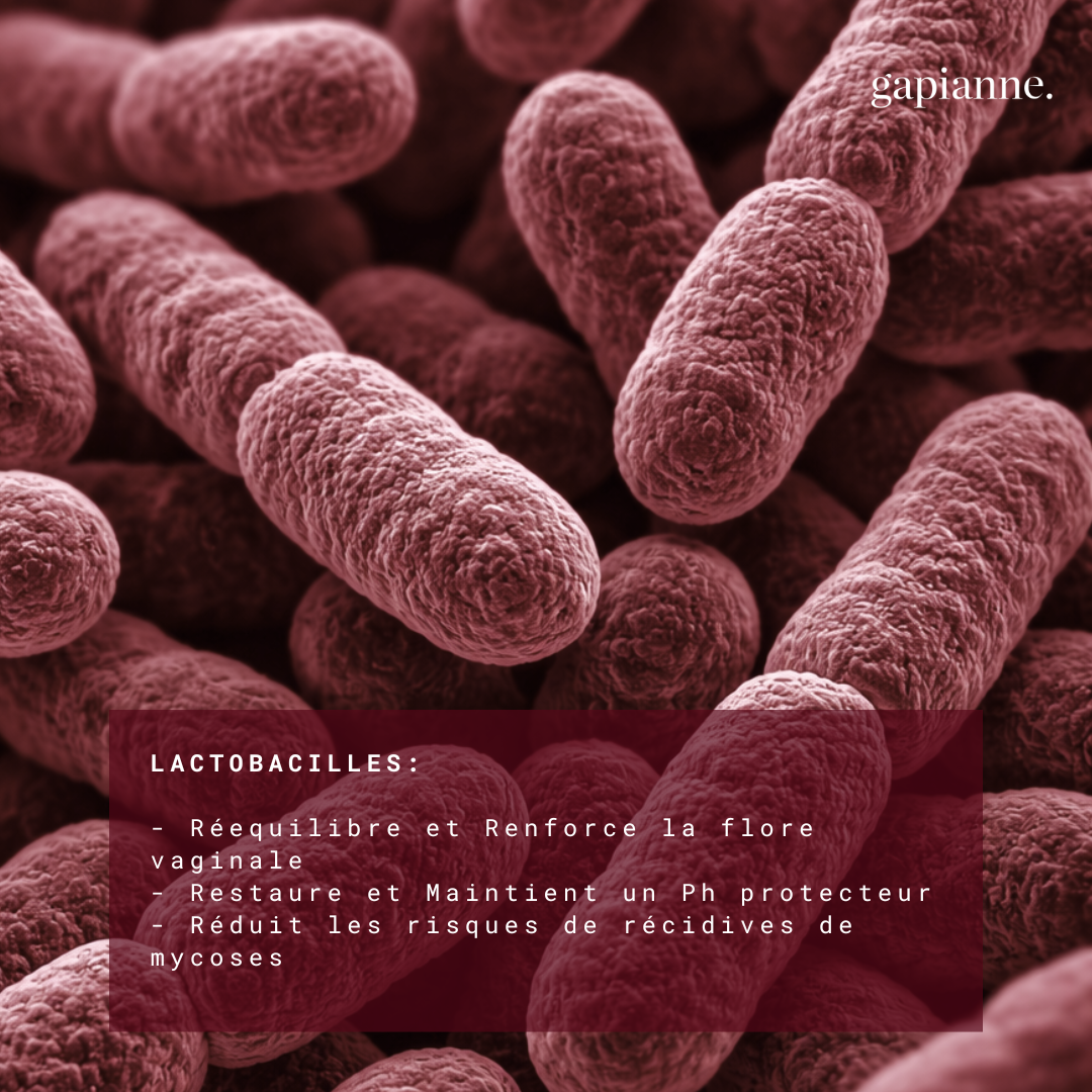 Probiotiques flore vaginale (Lactobacillus Reuteri, Rhamnosus, Crispatus et Gasseri)