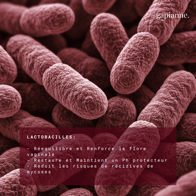 Probiotiques flore vaginale (Lactobacillus Reuteri, Rhamnosus, Crispatus et Gasseri)