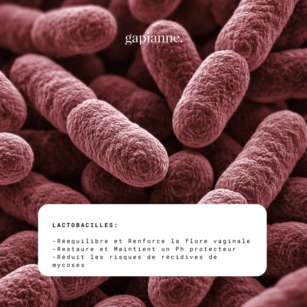 Probiotiques flore vaginale (Lactobacillus Reuteri, Rhamnosus, Crispatus et Gasseri)