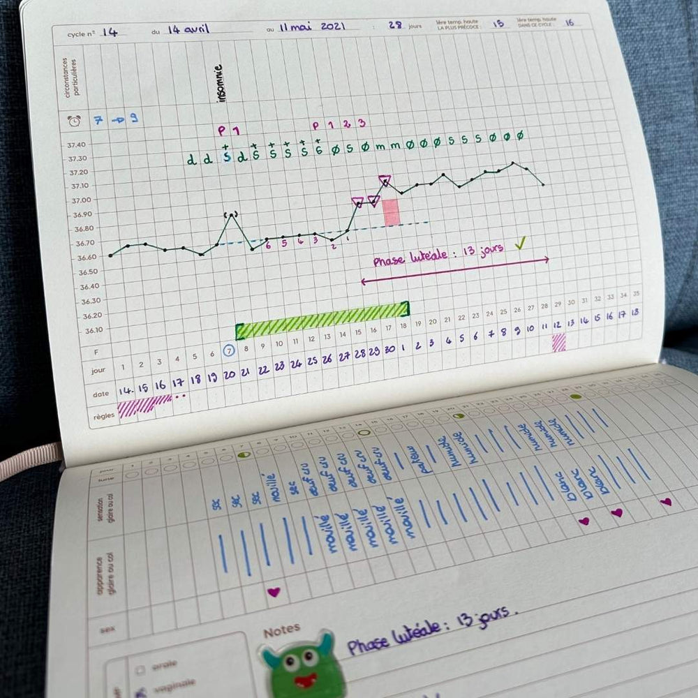 Agenda menstruel pour symptothermie Magic Ovaries - Gapianne