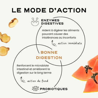 Probiotiques digestion et anti-ballonnement - Digest Circles