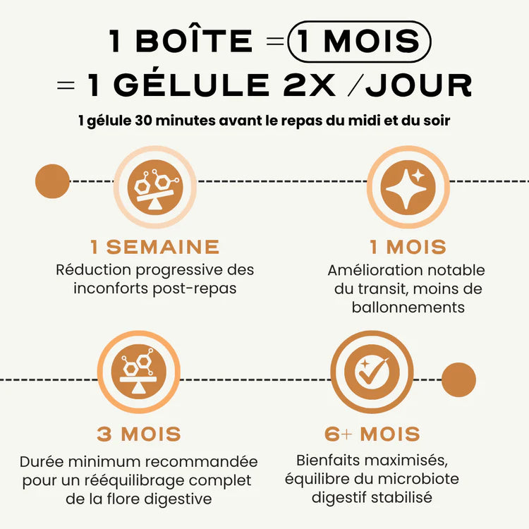 Probiotiques digestion et anti-ballonnement - Digest Circles