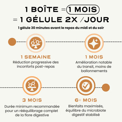 Probiotiques digestion et anti-ballonnement - Digest Circles