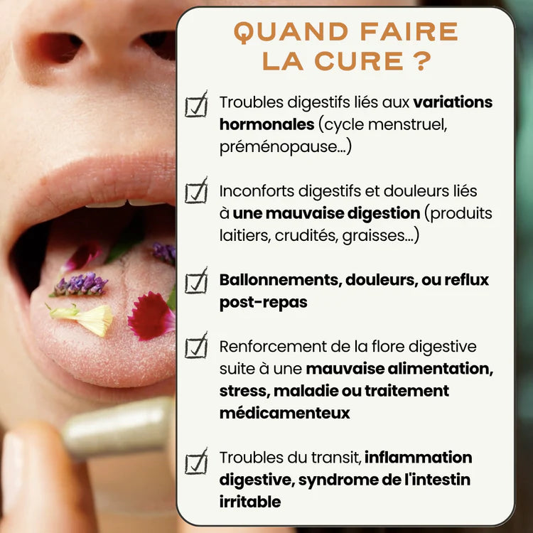 Probiotiques digestion et anti-ballonnement - Digest Circles