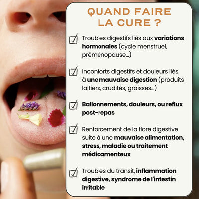 Probiotiques digestion et anti-ballonnement - Digest Circles